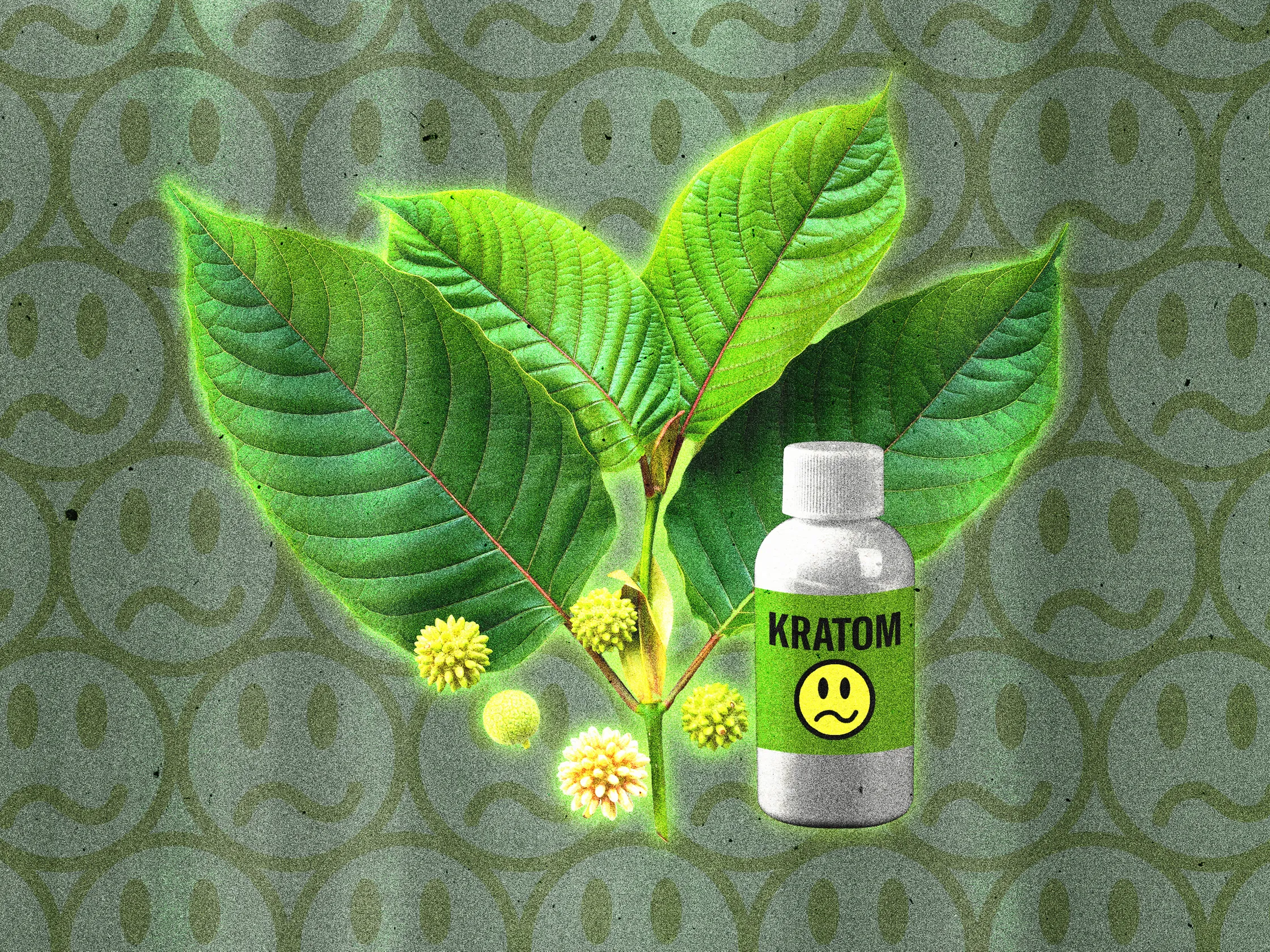 What Canadian Buyers Should Know Before Ordering Kratom Online